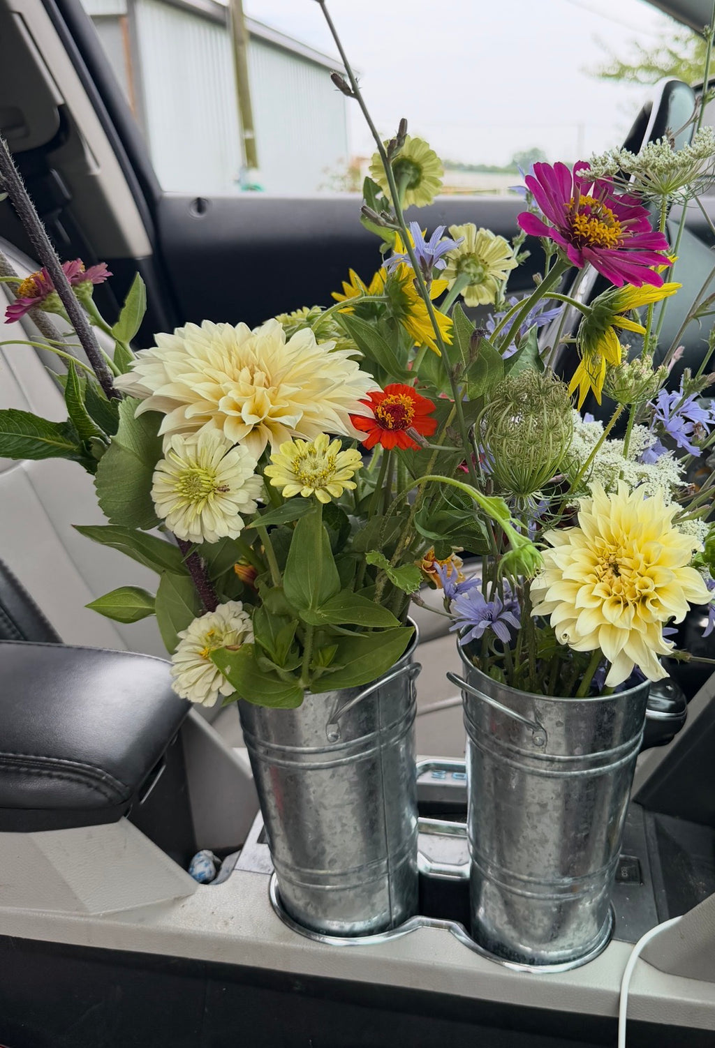 Bridal Bucket Season
