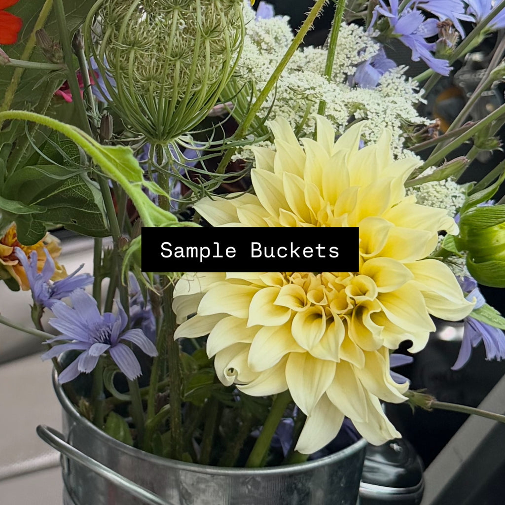 Florist Buckets