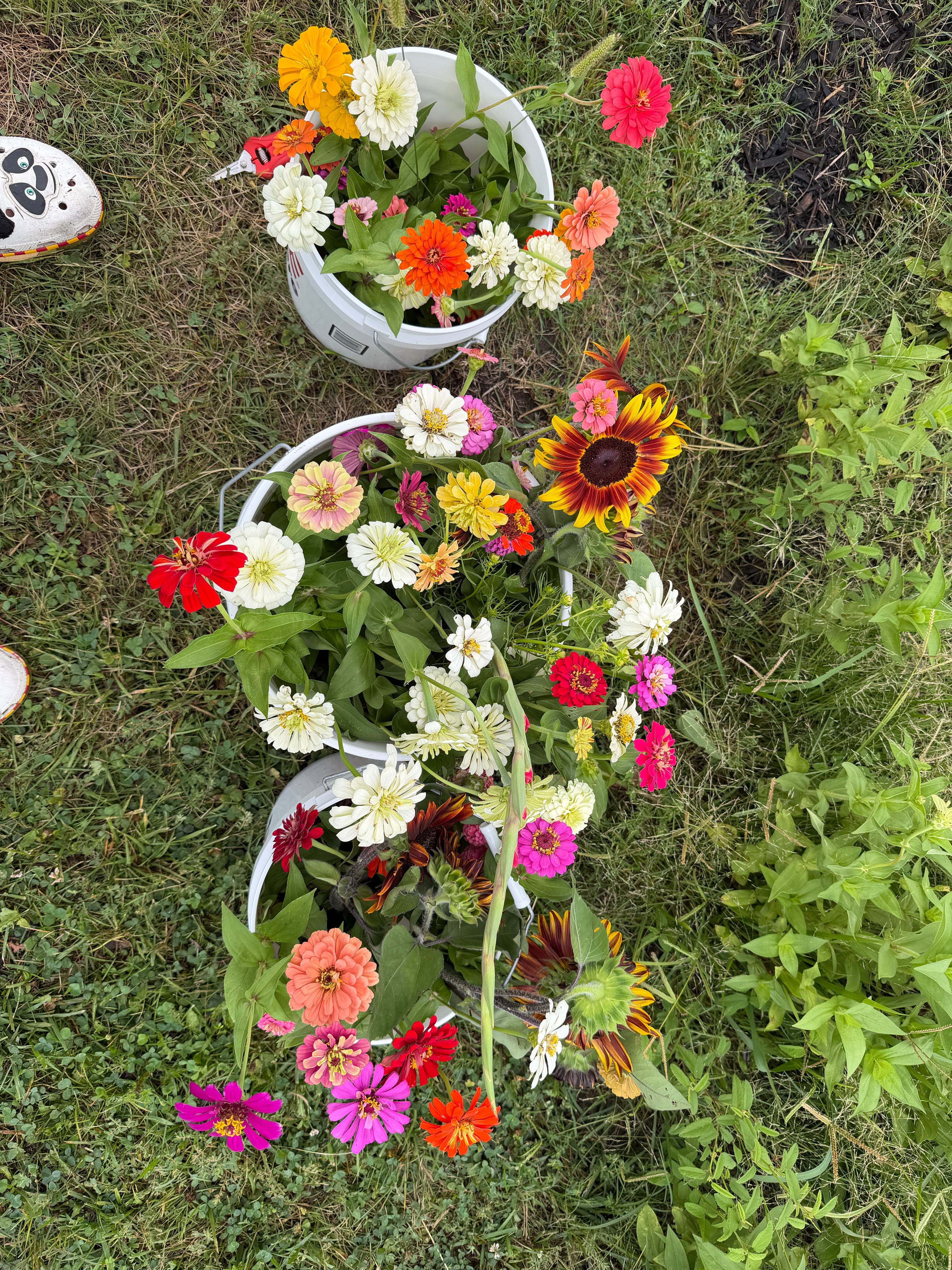 Florist Buckets (SHOP LOCAL)