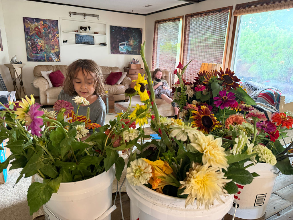 Florist Buckets (SHOP LOCAL)